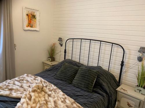聚滕达尔Chalet Sint Barbara的一间卧室配有一张带蓝色床单和绿色枕头的床。