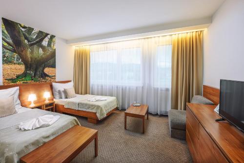 利普托斯基米库拉斯亚诺希克酒店的酒店客房设有两张床和一台平面电视。