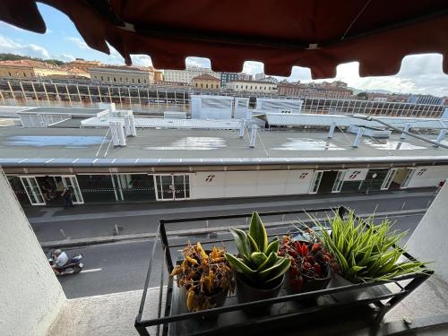 博洛尼亚B&B La Fenice的阳台享有植物建筑的景致