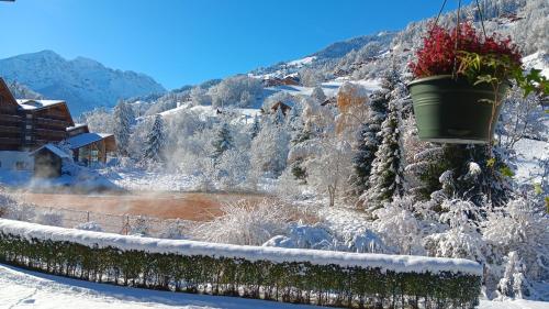 瓦尔·蒂利兹The River Pearl的雪中覆盖着花盆的院子