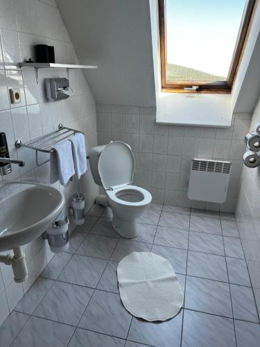 小莫拉夫卡Hotel Figura的白色的浴室设有卫生间和水槽。