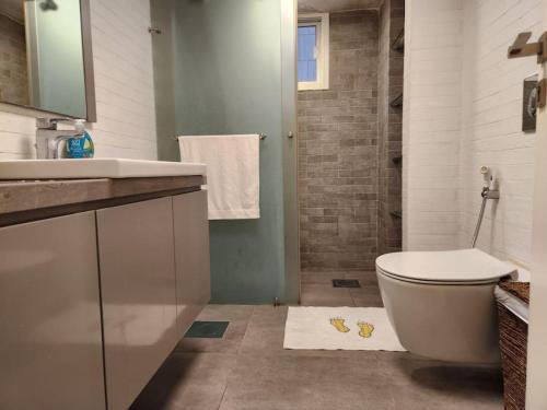 贝鲁特Charming 2BR Gemayze的一间带卫生间和水槽的浴室