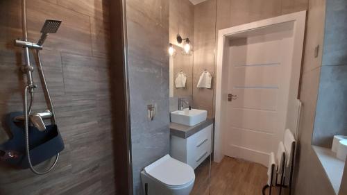 加沃泽Jaworze的浴室配有卫生间、盥洗盆和淋浴。