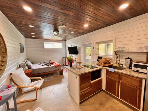 RiversdaleLa Vida Belize - Studio的一间带厨房的房间和一间带沙发的客厅