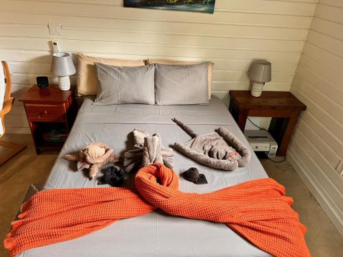 RiversdaleLa Vida Belize - Studio的一张带橙色毯子和填充动物的床