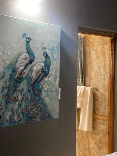 蒙特哥贝Montego Bay, Ironshore Luxury Studio的挂在墙上的两只孔雀的画