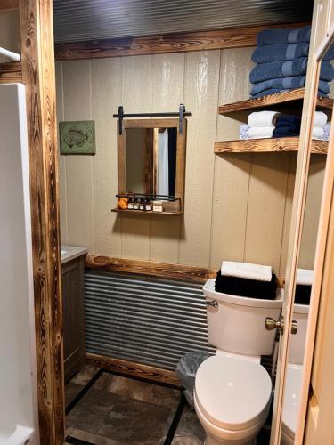 奥沙克湖Buddy's Harbor的一间带卫生间和镜子的浴室
