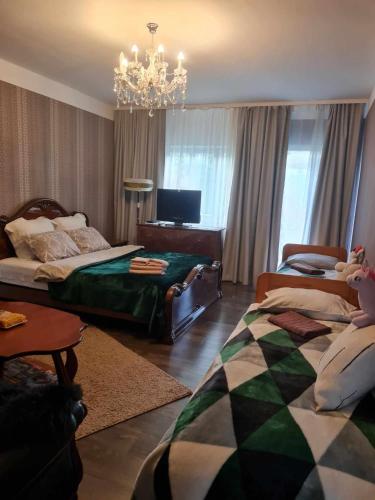 塔尔图Vilja 6的一间带两张床和吊灯的客厅