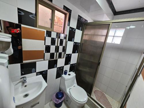 Alto HospicioHotel la Pampa的浴室配有卫生间、淋浴和盥洗盆。