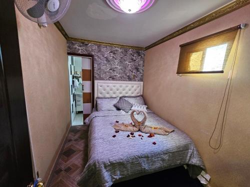 Alto HospicioHotel la Pampa的一间卧室配有一张带两个蛇床的卧室