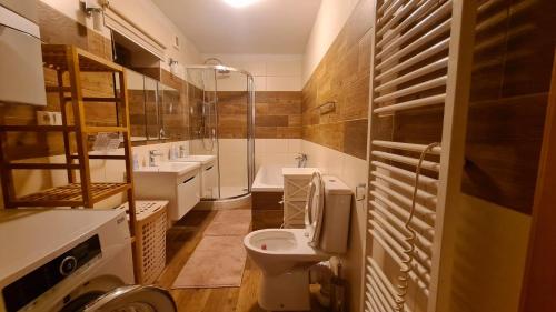 弗尔赫拉比Villa Harta的一间带卫生间和水槽的浴室