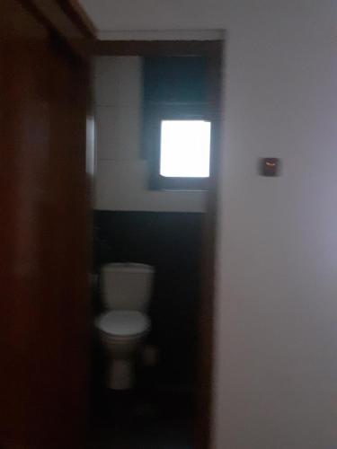 Hanul Anitei La paducel的一间带卫生间和窗户的浴室