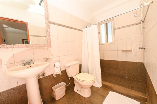 奥拉涅斯塔德E Solo Aruba Apartments的一间带水槽、卫生间和淋浴的浴室