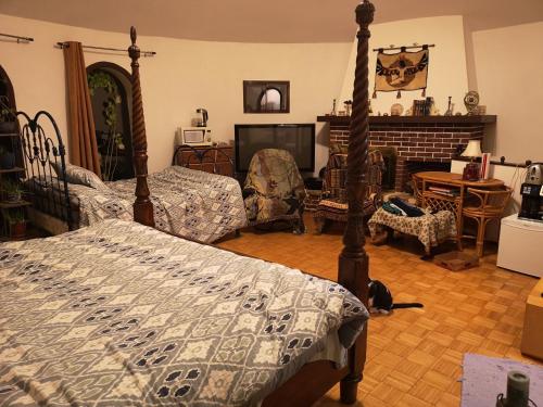 瓦尔达维德La Templière的一间卧室设有一张床和一间客厅。