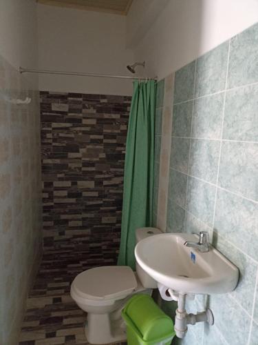 特里温福港Alojamiento la esmeralda的浴室设有水槽、卫生间和绿色淋浴帘。