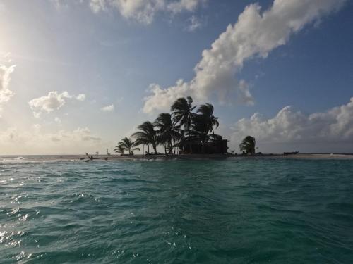 Playón ChicoSplendid San Blas - All Inclusive的海中的一个棕榈树岛