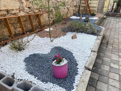 土伦la coquine, love room, romantique的花园里有种植物的粉红色锅