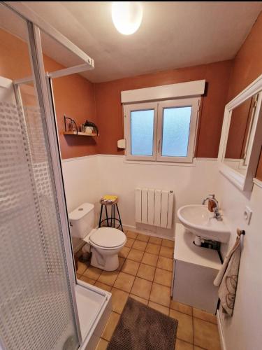 科尔尼蒙Bel appartement rénové (Le Nichoir)的浴室配有卫生间、盥洗盆和淋浴。