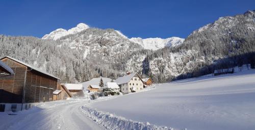 JohnsbachHaus 1683 - Wolfbauer的山地下雪的村庄