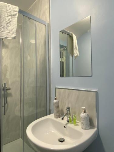滨海韦斯顿Abbie Lodge Guest House的一间带水槽和淋浴的浴室