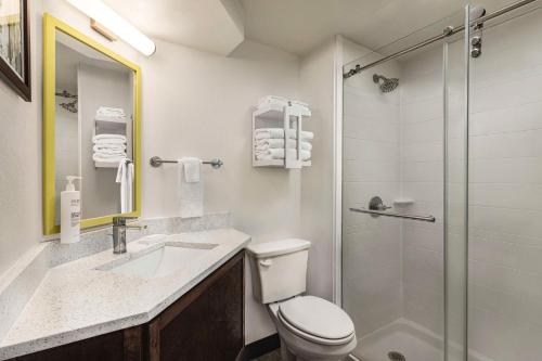 堪萨斯城堪萨斯城机场汉普顿酒店的浴室配有卫生间水槽和淋浴。