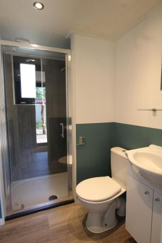 巴勒纳绍Tiny House的带淋浴、卫生间和盥洗盆的浴室