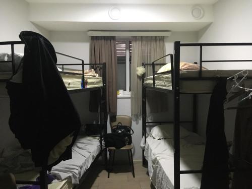 第比利斯Kargi Youth Hostel的宿舍间设有三张双层床。
