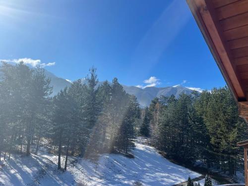 拉兹洛格Spacious penthouse chalet apartment in Pirin Golf and Country Club的享有带树木和山脉的雪覆盖山丘的景致。