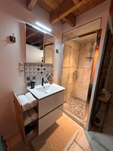 奥特维莱尔Le nid d’Isa的一间带水槽和淋浴的浴室