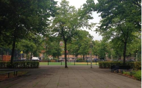 阿姆斯特丹Perl的公园里有两个长椅和一棵树