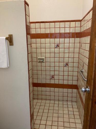 罗斯巴利勒斯Los Barriles Hotel的浴室设有瓷砖淋浴间和木门