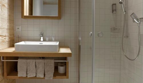 英格堡Bärghuis Jochpass - Alpine Hideaway - 2222müM的一间带水槽和淋浴的浴室