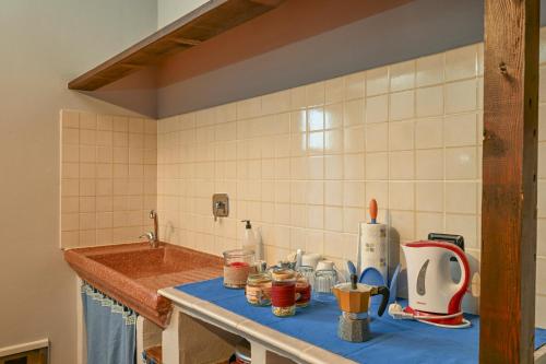 CasinaAgriturismo di Sordiglio的厨房台面上设有水槽和台面