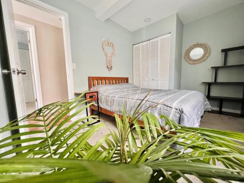 怀尔德伍德Ultra Modern - Entire 3 Bedroom Apartment - 5 min walk to the Beach的一间卧室配有床和植物
