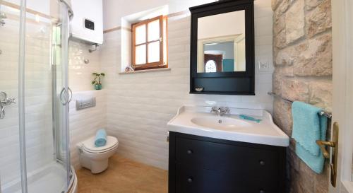 苏曼婷Villae Dalmaticae - Plava的一间带水槽、卫生间和镜子的浴室