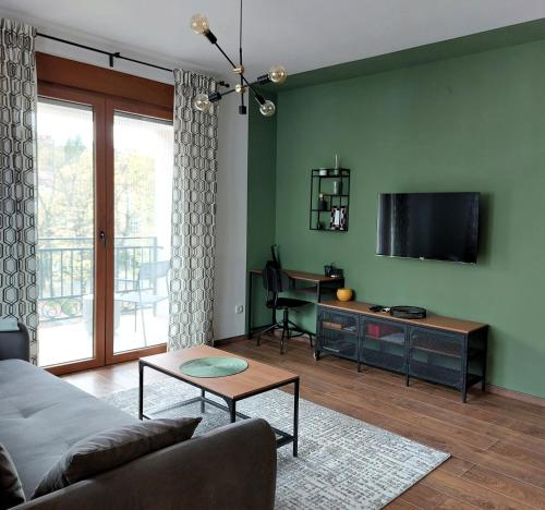 弗尔尼亚奇卡矿泉镇Tilia Home的带沙发和平面电视的客厅