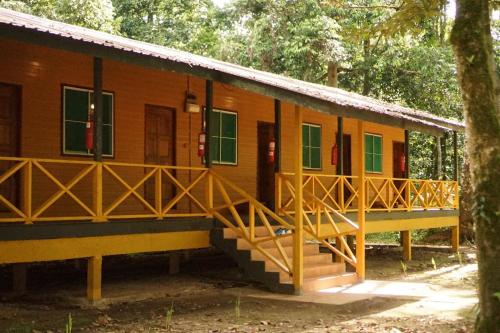 京那巴当岸Borneo Jungle Adventure的树林中的房屋,设有门廊和楼梯