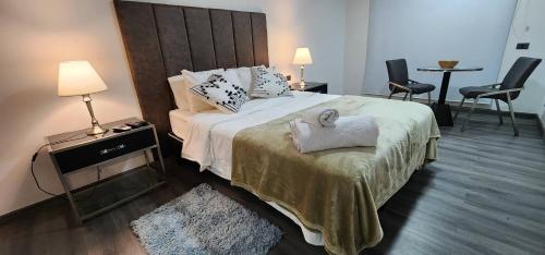 圣地亚哥Hermoso Lofts Centro De Santiago的一间卧室配有一张大床和木制床头板