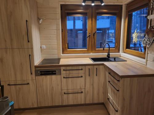 博尔斯克Dzik w zagrodzie的厨房配有木制橱柜、水槽和窗户。