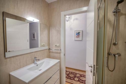 拉科鲁尼亚Céntrico Apartamento的浴室配有盥洗盆和带镜子的淋浴