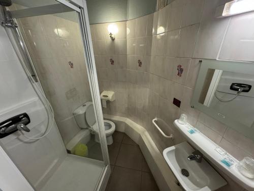 阿尔比Le Terminus d'Albi的带淋浴、卫生间和盥洗盆的浴室