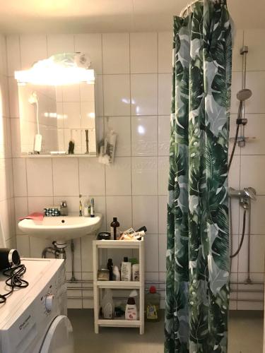 赫尔辛基Cosy room in Pasila的一间带水槽和淋浴帘的浴室
