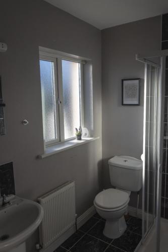 卡洛En-Suite room in Carlow Town的一间带卫生间、水槽和窗户的浴室