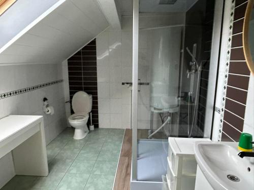 Habay-la-NeuveChez nathalie的带淋浴、卫生间和盥洗盆的浴室