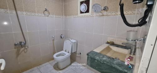 拉斯阿尔卡麦Al Fannan Farm - Family House的一间带卫生间和水槽的小浴室