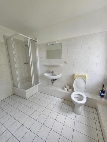 罗斯托克Privat Zimmer mit eigenem Bad的一间带卫生间和水槽的浴室