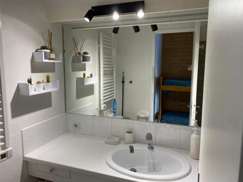 皮伊圣万桑Studio Puy Saint Vincent 1600 aux pieds des pistes的一间带水槽和大镜子的浴室
