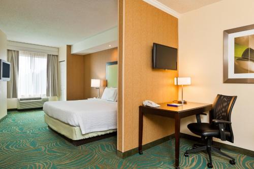 穆尔斯维尔SpringHill Suites Charlotte Lake Norman/Mooresville的配有一张床和一张书桌的酒店客房