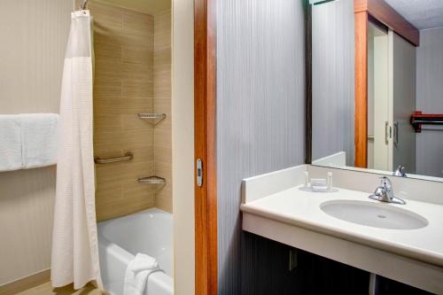 米德尔堡海茨克利夫兰机场南庭院酒店的浴室配有盥洗盆和浴缸。