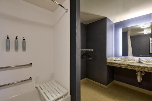 阿林顿阿灵顿首都景酒店的一间带水槽、卫生间和镜子的浴室